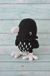 Kieran the Raven (Crochet)